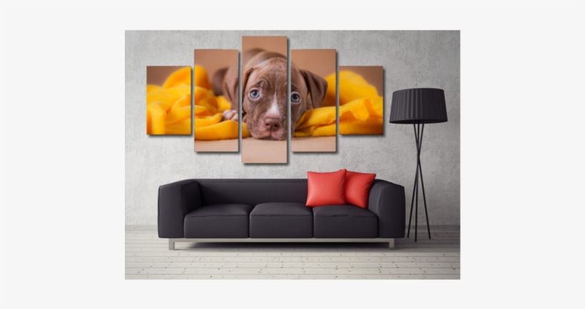 Loveable Pit Bull Puppy - American Pit Puppies 2016 Traditional, transparent png download