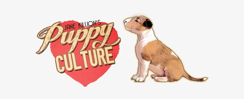 If You're Even Thinking Of Getting A Bull Terrier Puppy - Puppy Culture, transparent png download