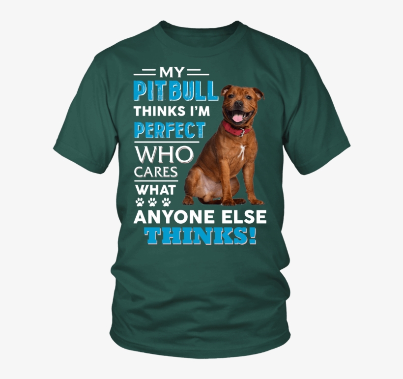Pitbull Gift Ideas “ - Larry Bernandez T Shirt, transparent png download