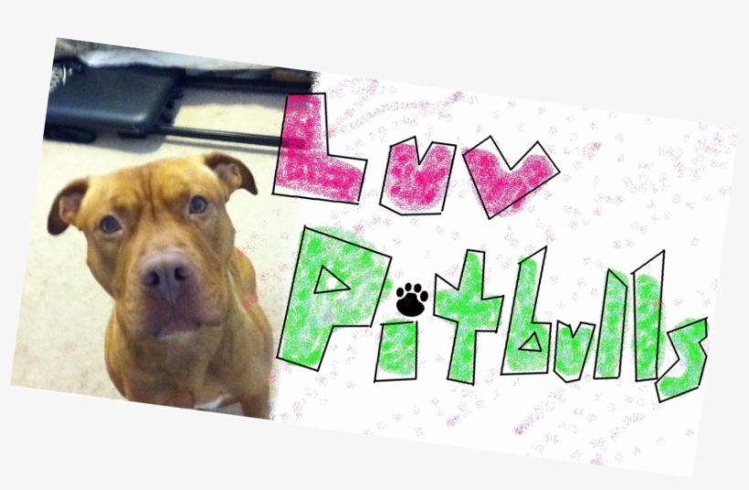 I <3 Pitbulls - American Pit Bull Terrier, transparent png download