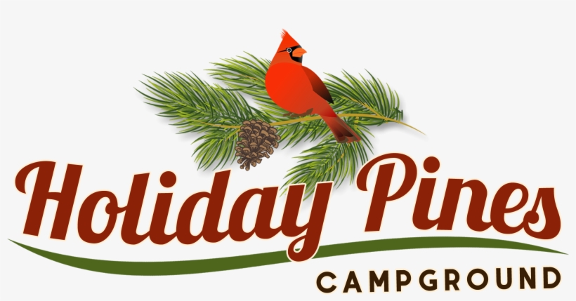 Holiday Pines Campground - Health And Beauty Header, transparent png download
