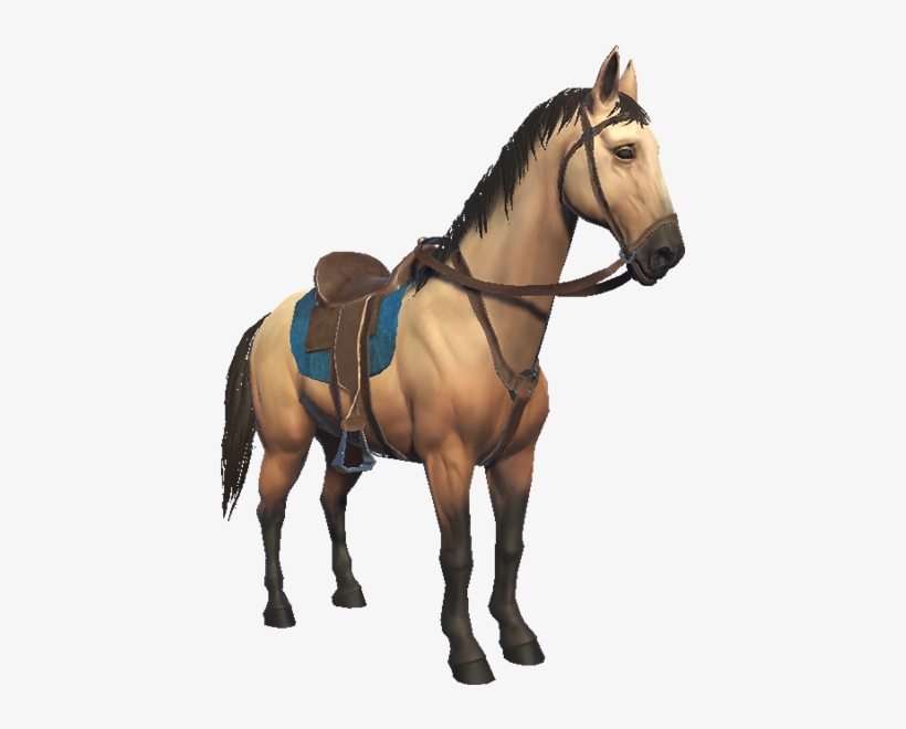 Horse - Saddled Horse, transparent png download