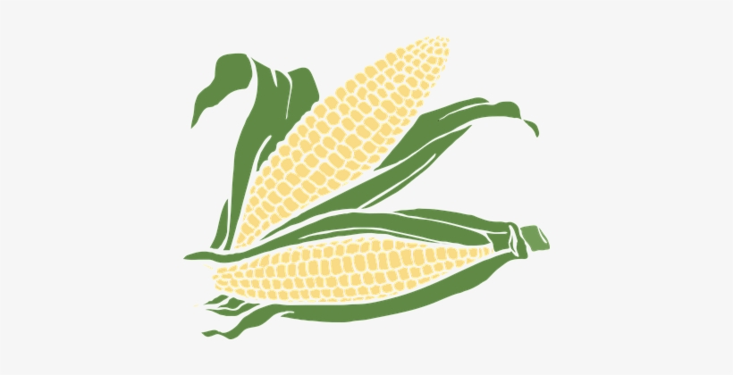 Corn Food Maize Plant Agriculture Crop Cor - Corn Clip Art Png, transparent png download