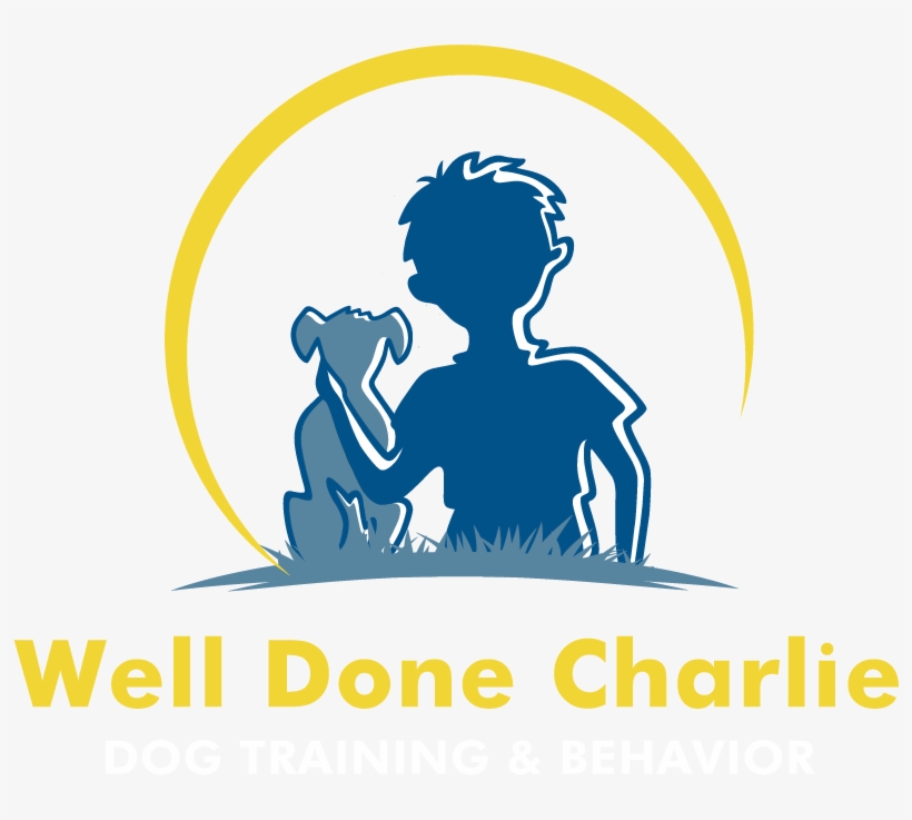 Book, transparent png download