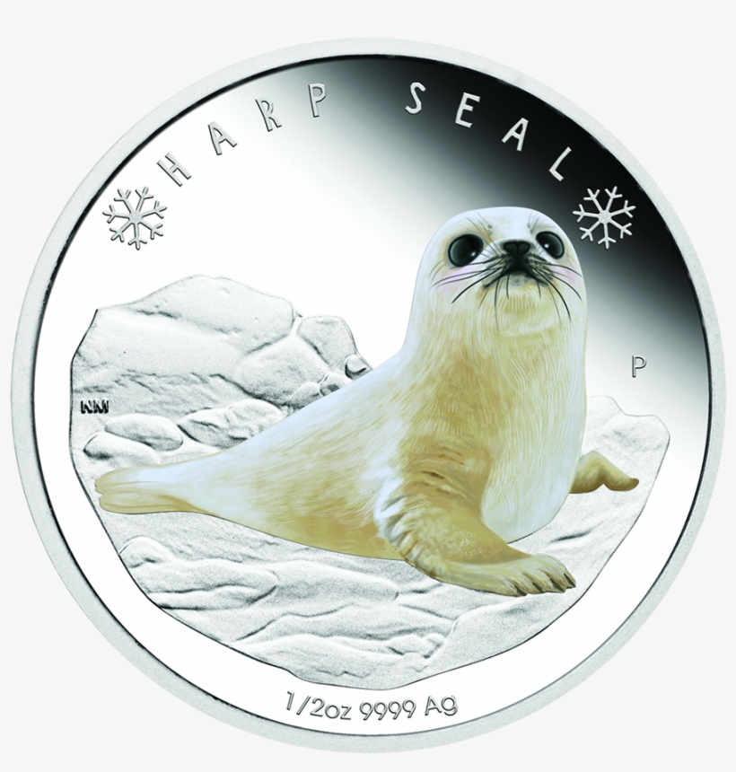 2017 Australian Polar Babies Harp Seal 1/2oz Silver - 2017 Polar Babies - Harp Seal 1/2oz Silver Proof Coin, transparent png download