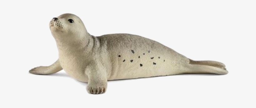 Schleich Seal, transparent png download