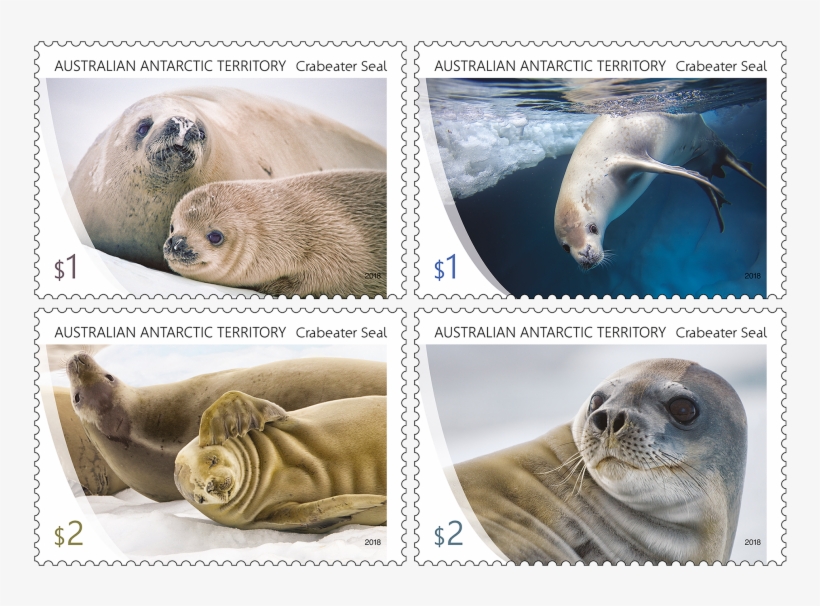Set Of Stamps - Crabeater Seal, transparent png download