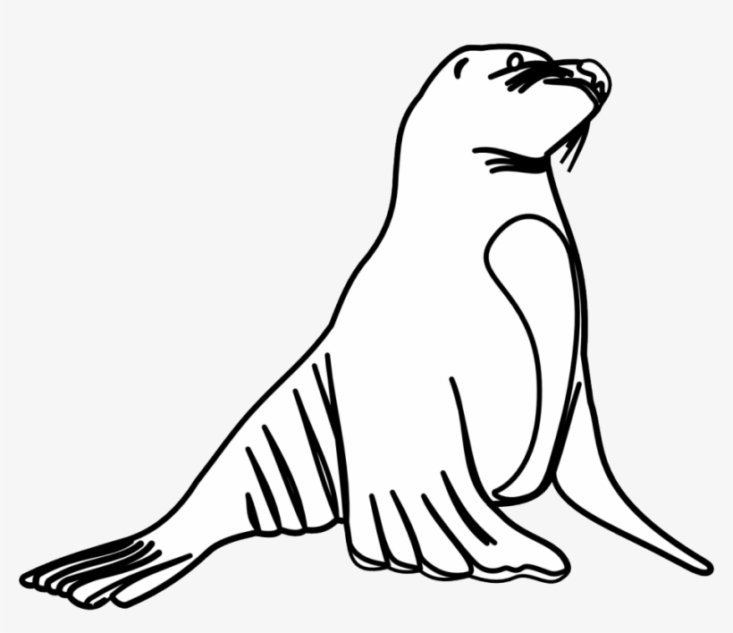 Sea - Sea Lion White And Black, transparent png download