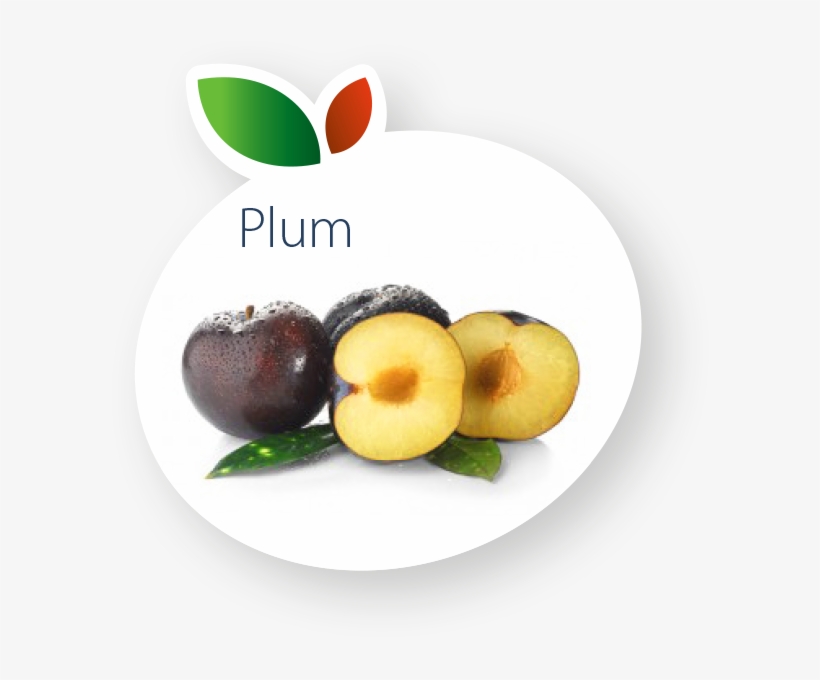 Plum, transparent png download