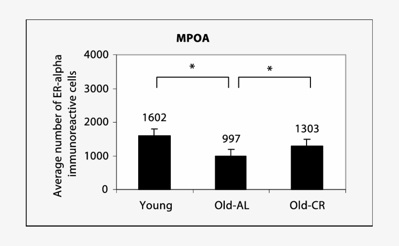 Averages Of Erα Immunoreactive Cell Counts, With Standard - Diagram, transparent png download