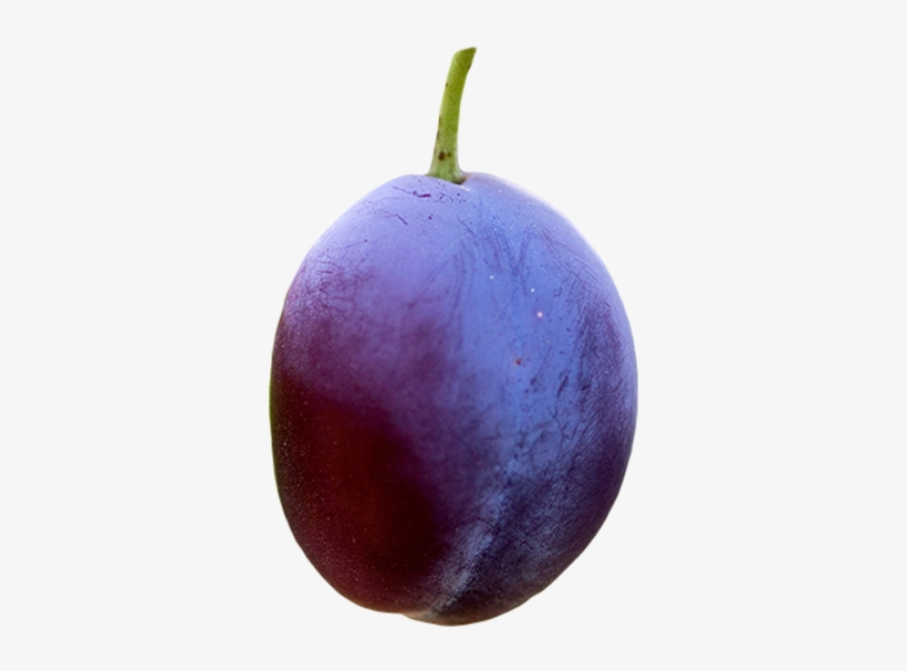 Plums - Plum, transparent png download