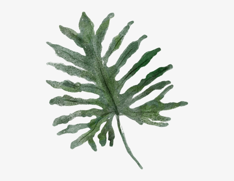 Parent Directory - Fern, transparent png download