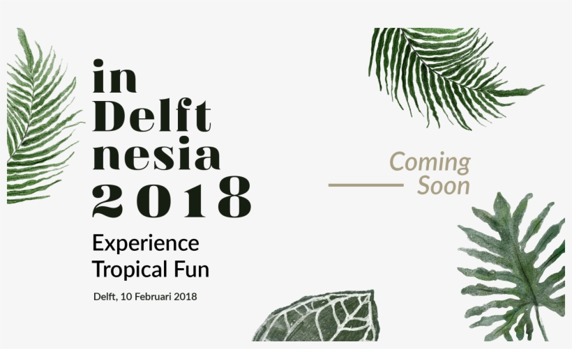 Daun Jari - White Pine, transparent png download