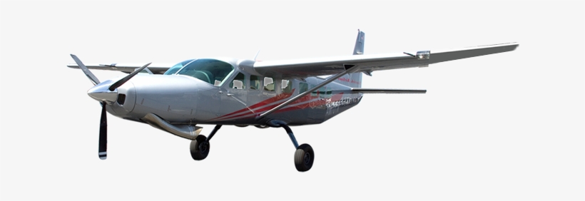 New To The Fleet - Cessna 150, transparent png download