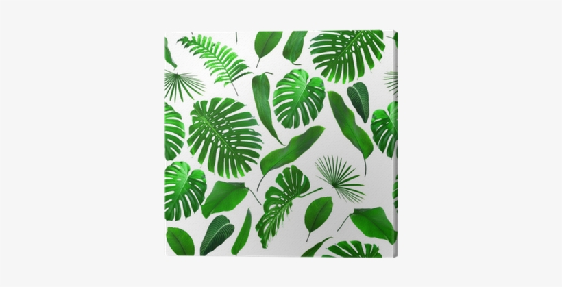 Seamless Tropical Jungle Leaves Pattern Canvas Print - Illustration, transparent png download