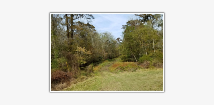 Wetlands - Meyer Engineers Ltd, transparent png download