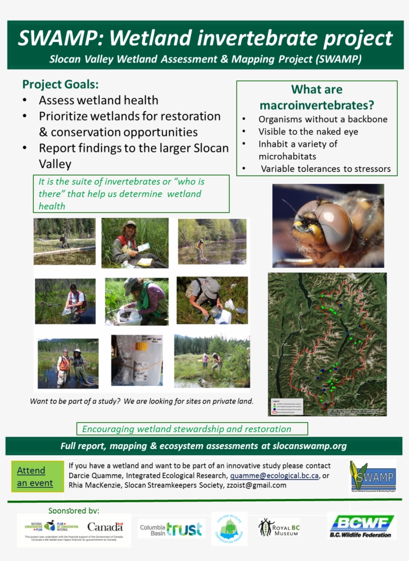 Share This - - Flyer, transparent png download