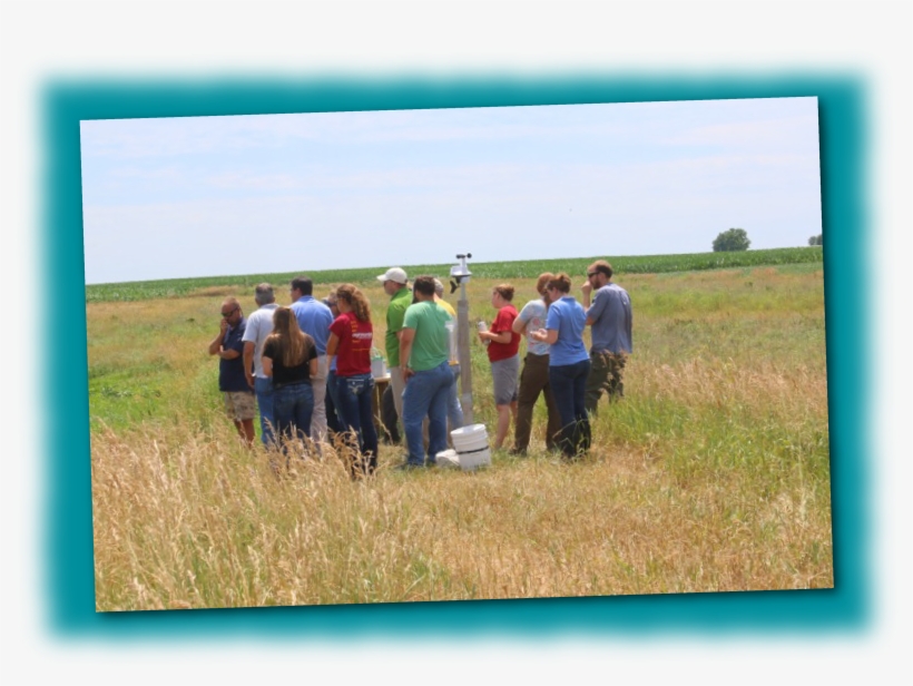 We Ended At The Site Of The Very First Saturated Buffer - Wetland, transparent png download