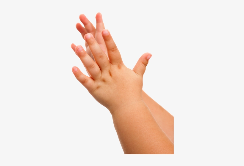 Experience Delicious Llc, transparent png download