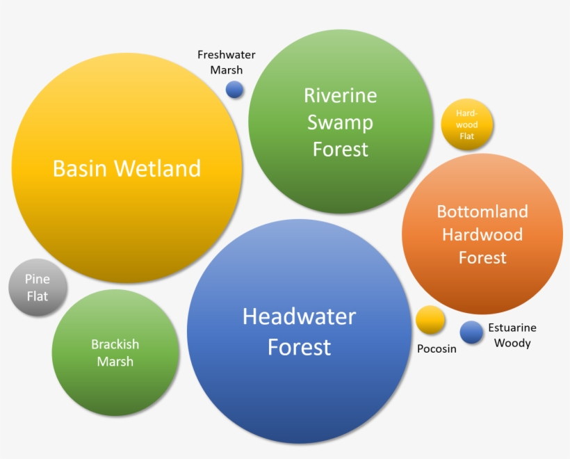 Access Project Summaries And Final Reports Below - Circle, transparent png download