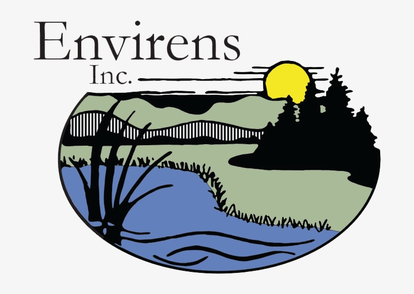 Stream Clipart Wetland - Conservation, transparent png download