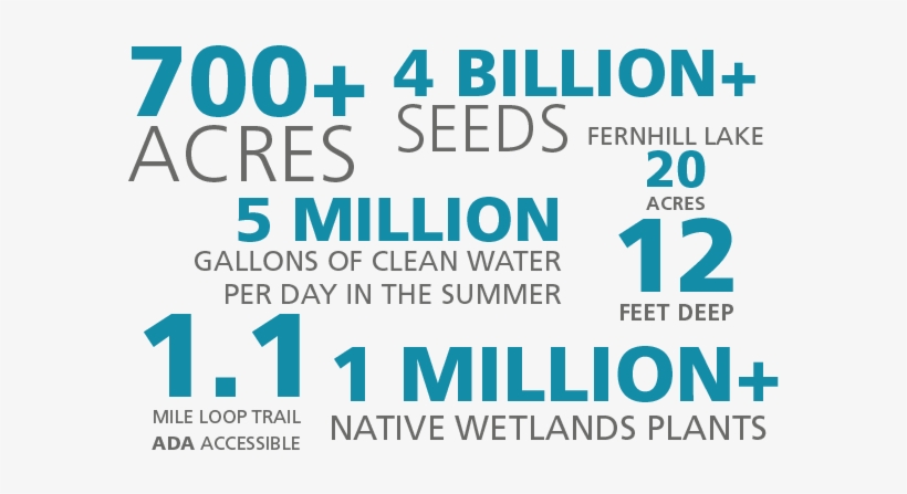 About Page Infogrographic Update - Portable Network Graphics, transparent png download