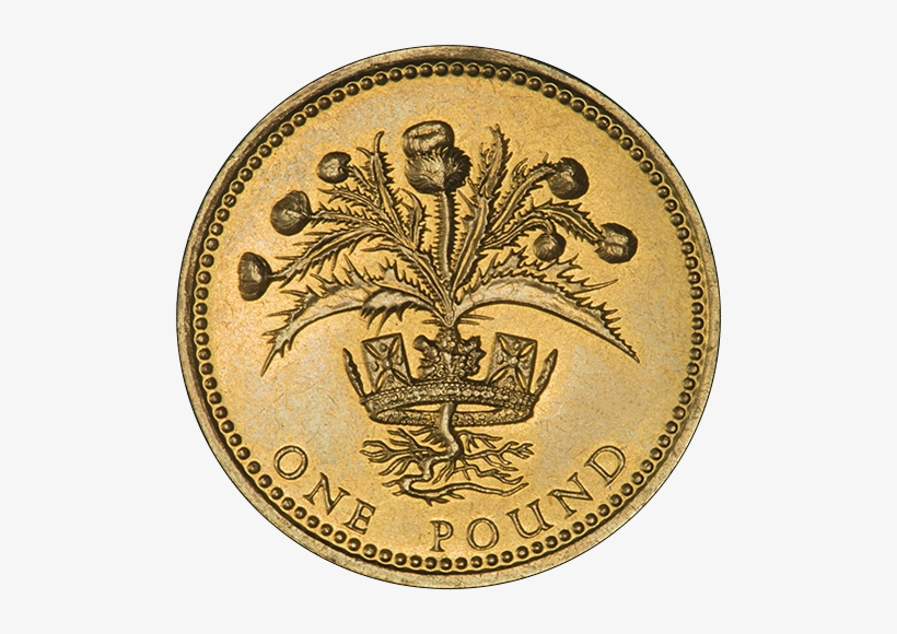 1989 Scottish Thistle One Pound Coin - Thistle And Bluebell Pound Coin, transparent png download
