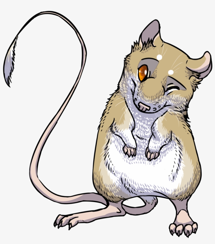 Rat Clipart Kangaroo Rat - Kangaroo Rat Clip Art, transparent png download
