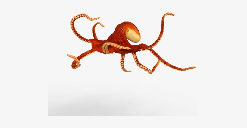 Animals,suction Cups,sea Water,squid,water - Octopus, transparent png download