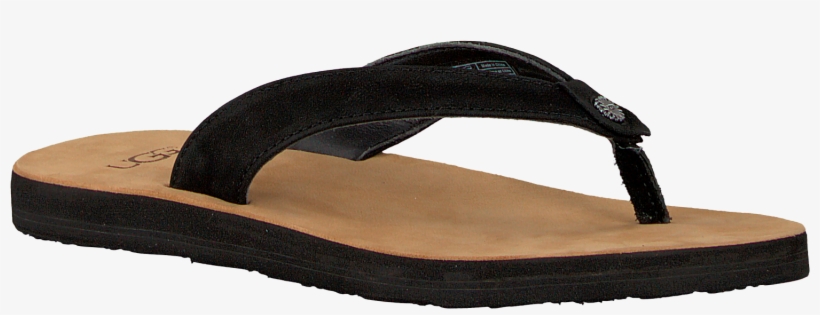 Zwarte Ugg Slippers Tawney - Hardwood, transparent png download