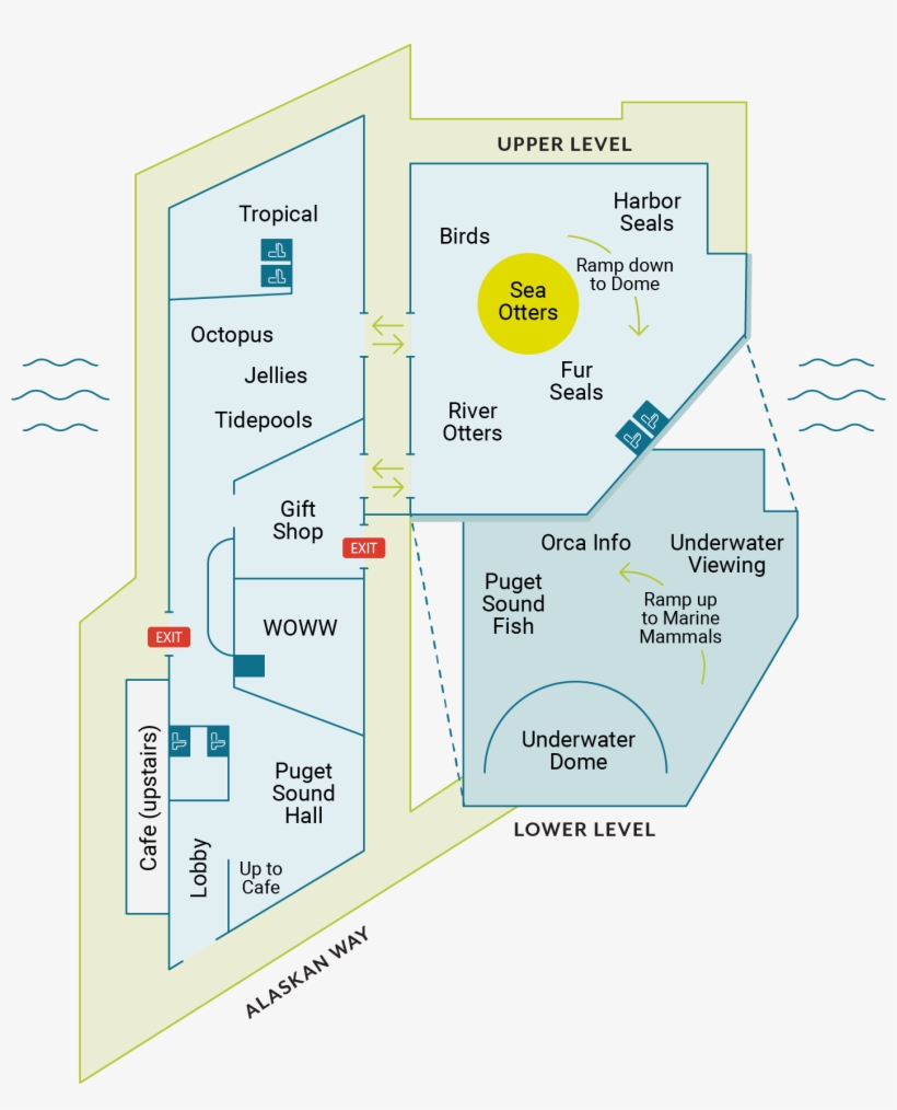 Marine Mammals - Seattle Aquarium Exhibit Map, transparent png download
