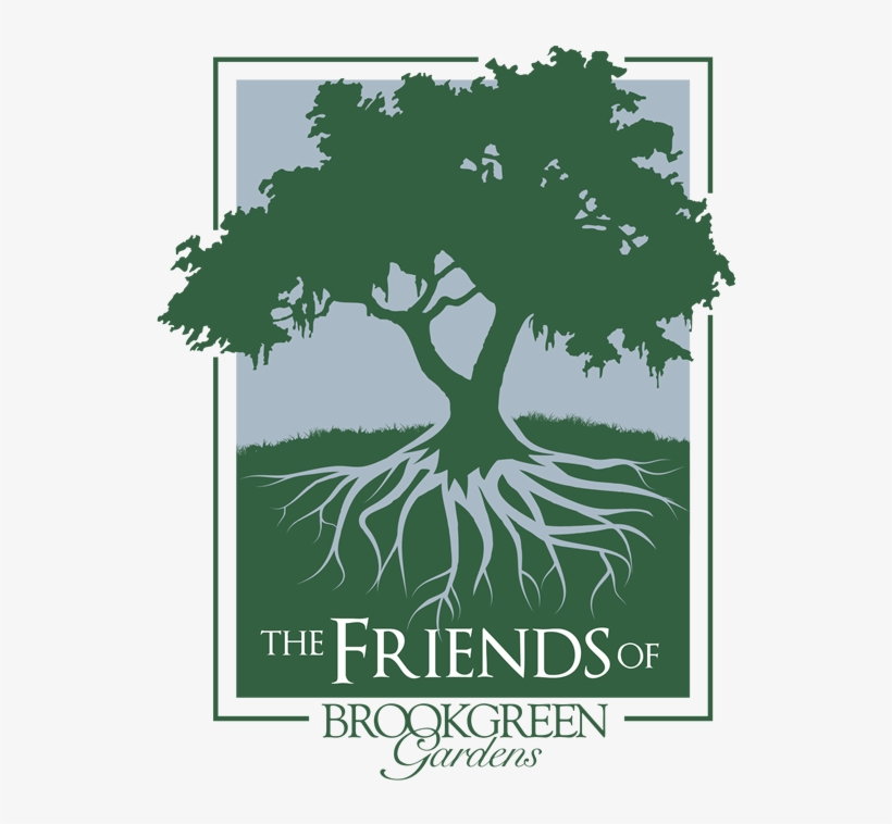 The Friends Of Brookgreen Gardens Is A Diverse Group - Black Soul Island Shower Curtain, transparent png download