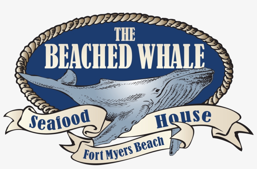 Doc Ford's Doc Ford's Doc Ford's - Timeless Treasures: Digging For Gold Daily, transparent png download