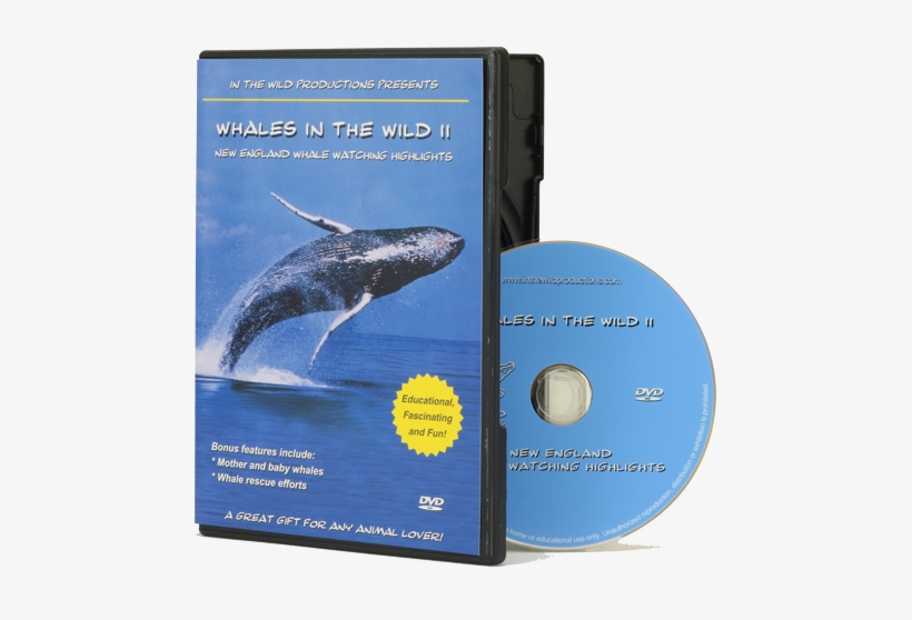 Whales In The Wild 2 Dvd - Whales In The Wild Ii, transparent png download