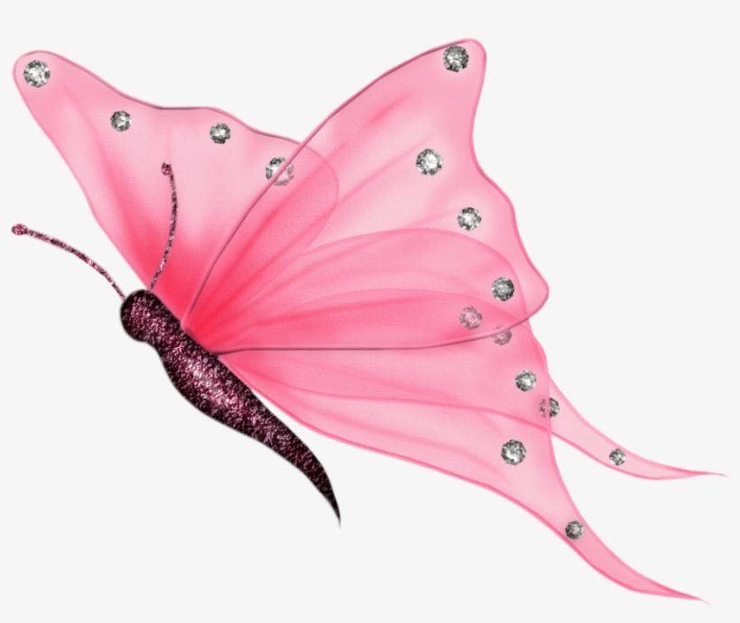 Rama Rama Png - Transparent Background Butterfly Png, transparent png download