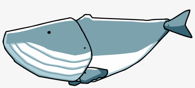 Whale - Scribblenauts Wiki - Scribblenauts Fishs, transparent png download