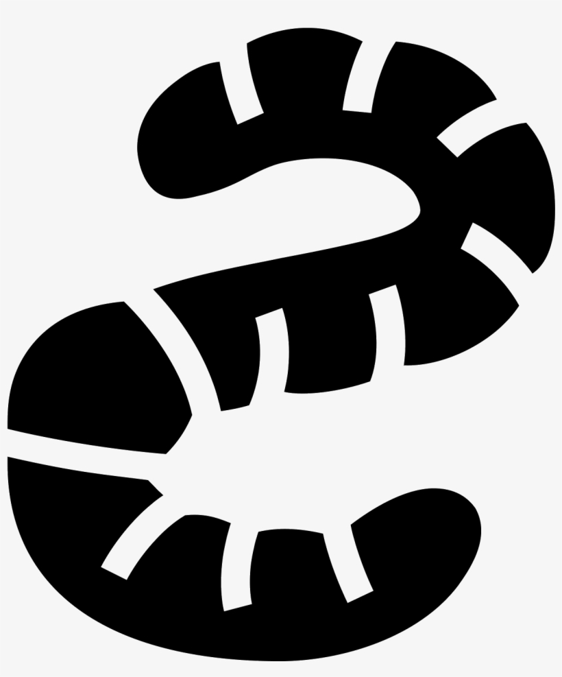 Earth Worm Filled Icon - Vers De Terre Icone, transparent png download