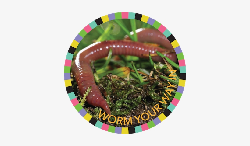 Worm Your Way In Image - Earthworms, transparent png download