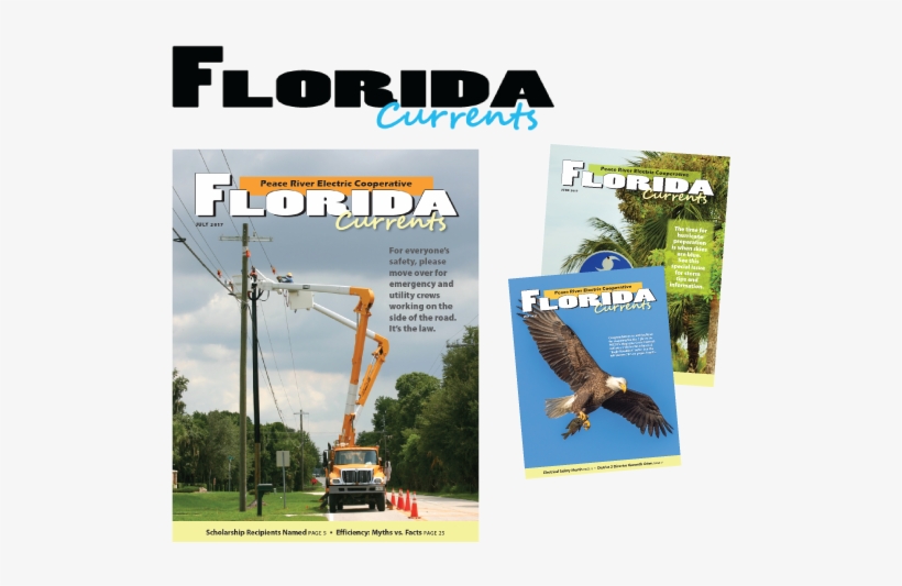 Subscribe To Blog Via Email - Falcon, transparent png download