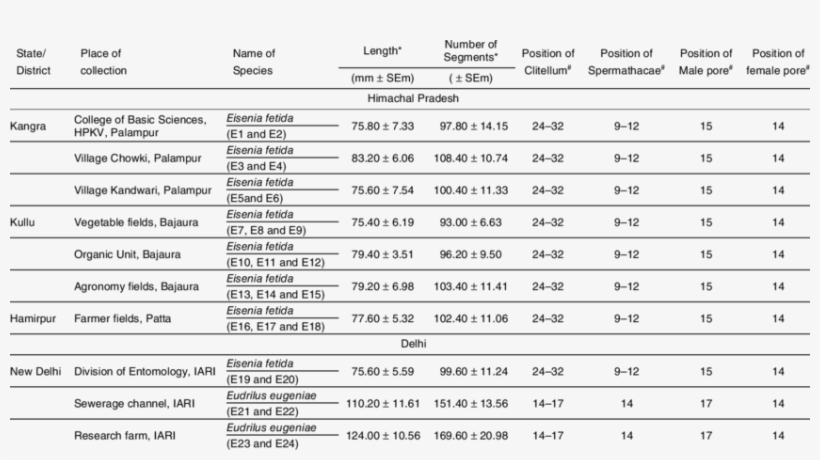 Morphological Features Of Earthworm Individuals Collected - Number, transparent png download