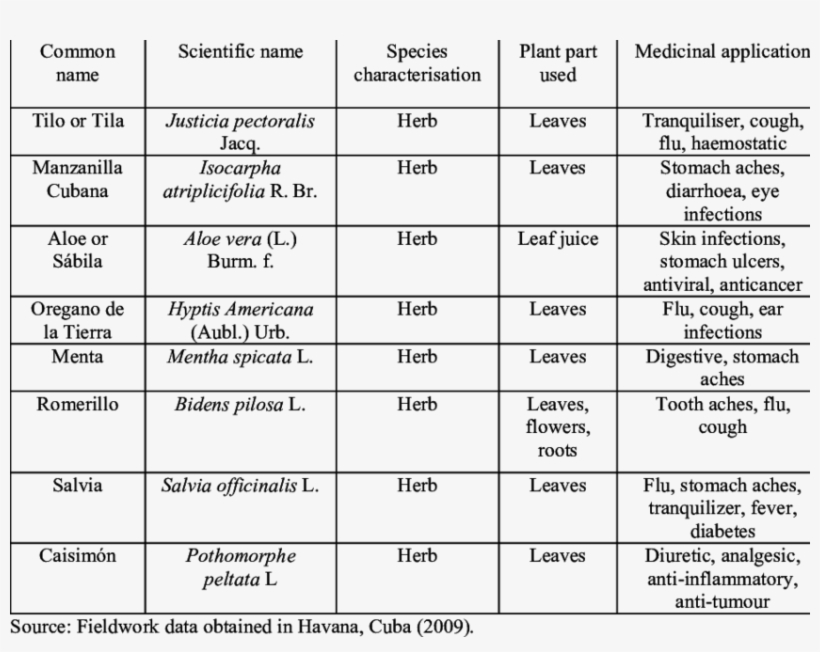 The Top Ranking Medicinal Plant Species Cultivated - Medicinal Plants, transparent png download