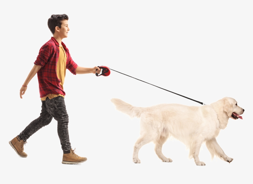 We Take Your Dog For A Walk With Leash Only Unless - Walking Dog No Background, transparent png download
