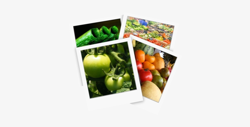 160,000 Reasons Why Worms Are Not Pests - Meal Journal 2017, transparent png download