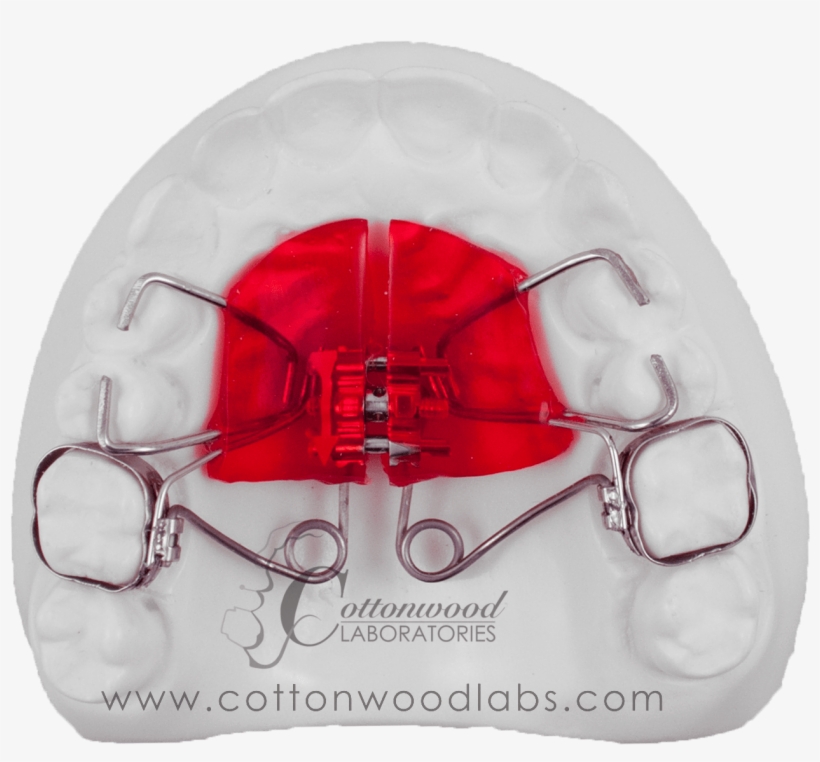 T-rex - Makeup Mirror, transparent png download