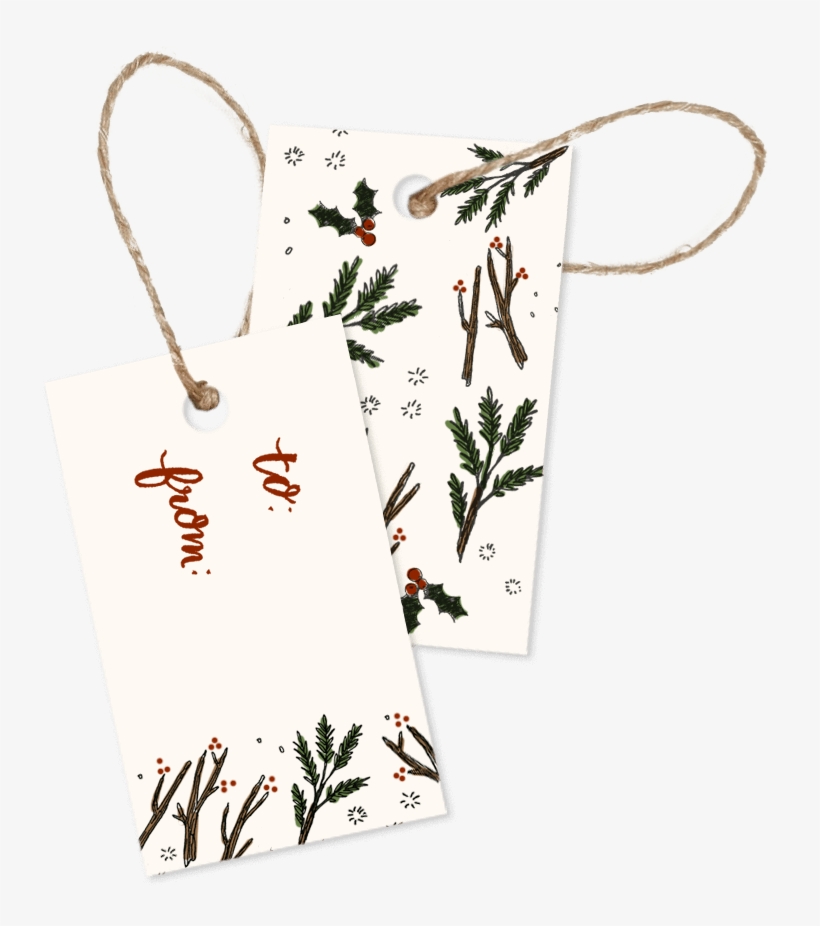 Holly Christmas Gift Tags Pack Of - Holly Christmas Gift Tags, transparent png download