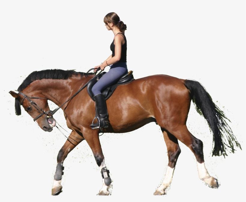 Png Horse Riding Transparent Horse Riding - Ride A Horse Png, transparent png download