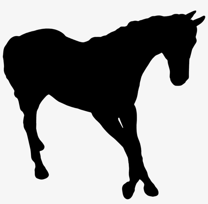 Horse Silhouette Clipart Png - Dark Horse Idiom, transparent png download