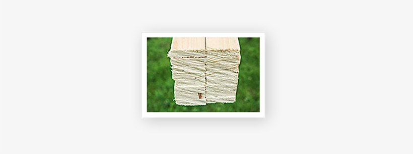 Just In Time - Picture Frame, transparent png download