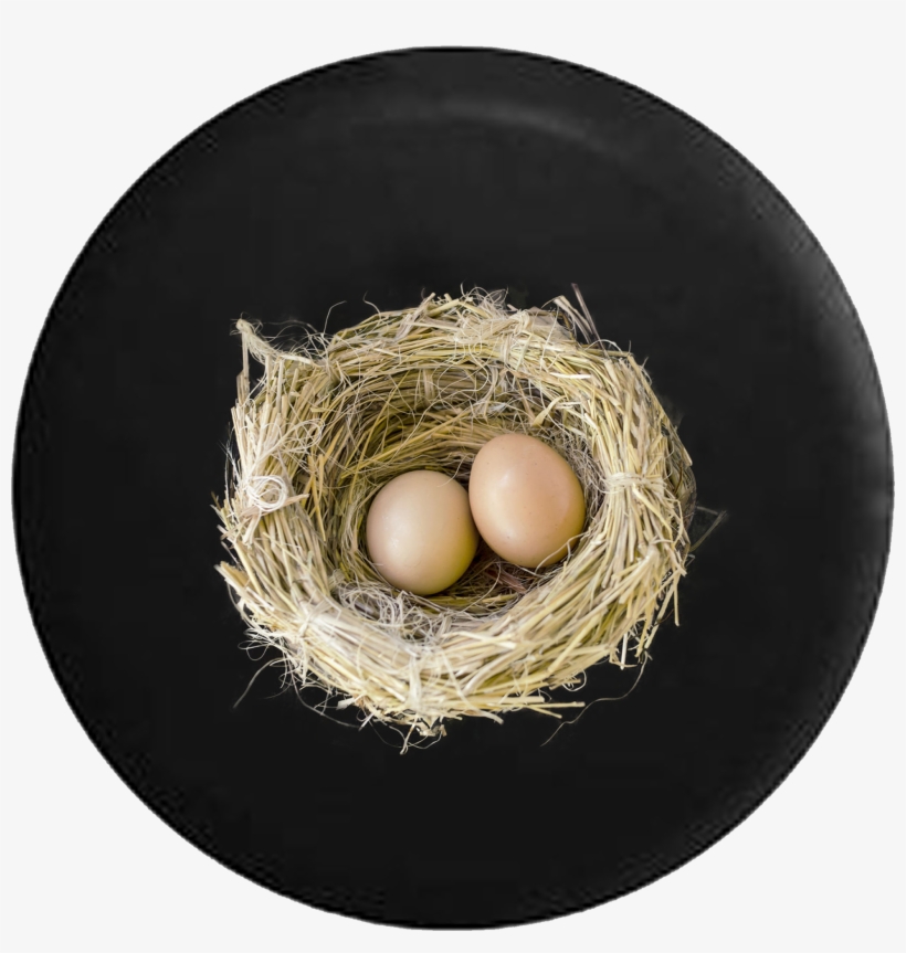 Birds Nest With Baby Bird Eggs Jeep Camper Spare Tire - Jeep, transparent png download