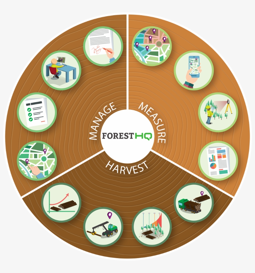 Treemetrics Has Developed Foresthq To Provide A Range - Business, transparent png download